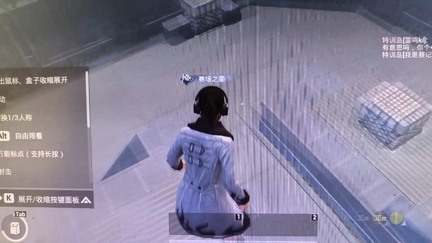 和平精英怎么当辅助（和平精英怎么搞辅助）